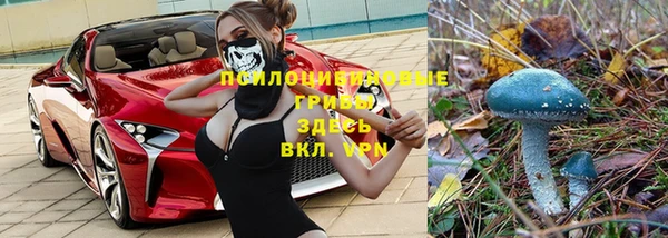 мяу мяу мука Медногорск