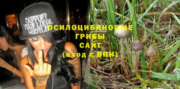 соль ск Мегион