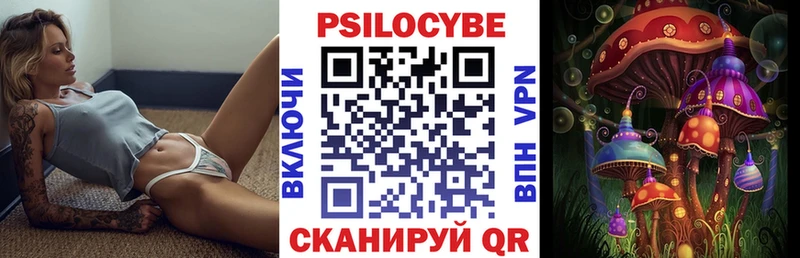Псилоцибиновые грибы Cubensis Хвалынск