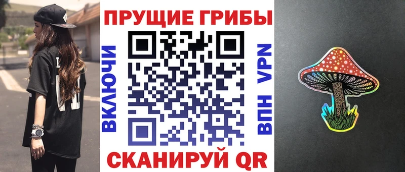 Псилоцибиновые грибы мицелий  Хвалынск 